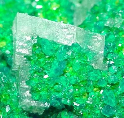 Dioptase, Calcite - image 2