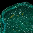Dioptase cast after Dolomite with Wulfenite - image 4