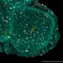 Dioptase cast after Dolomite with Wulfenite - image 5