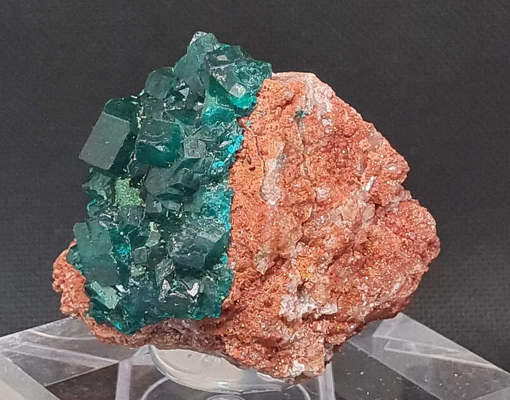 Dioptase from Mashamba West Mine, The Congo. Well terminated emerald green dioptase crystals in a very good size and quality. - image 3