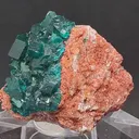 Dioptase from Mashamba West Mine, The Congo. Well terminated emerald green dioptase crystals in a very good size and quality. - image 3
