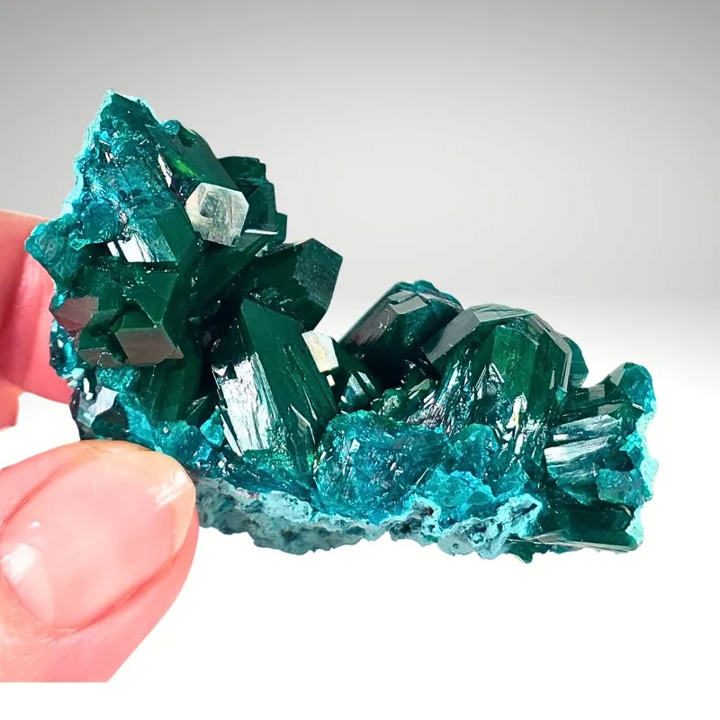 Dioptase from Namibia, Kunene Region, Kaokoveld Plateau - image 6