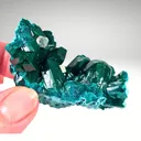 Dioptase from Namibia, Kunene Region, Kaokoveld Plateau - image 6