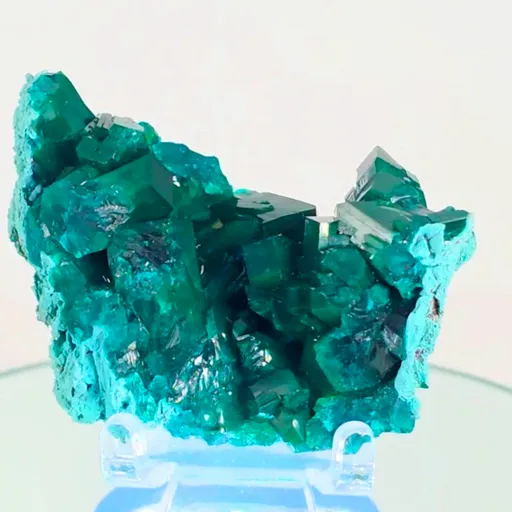 specimen video