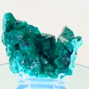 specimen video