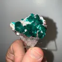 Dioptase from Namibia, Oshikoto Region, Tsumeb - image 3