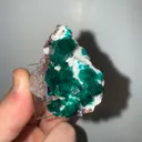Dioptase from Namibia, Oshikoto Region, Tsumeb - image 4