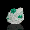 Dioptase from Namibia, Oshikoto Region, Tsumeb - image 2