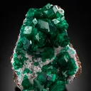 Dioptase from Namibia, Oshikoto Region, Tsumeb - image 2