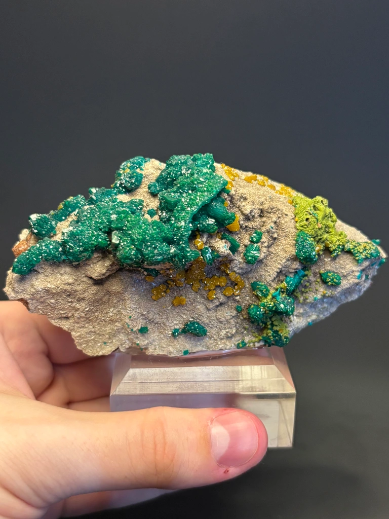 Dioptase from N'tola Mine, Mindouli, Mindouli District, Pool Department, Republic of the Congo image