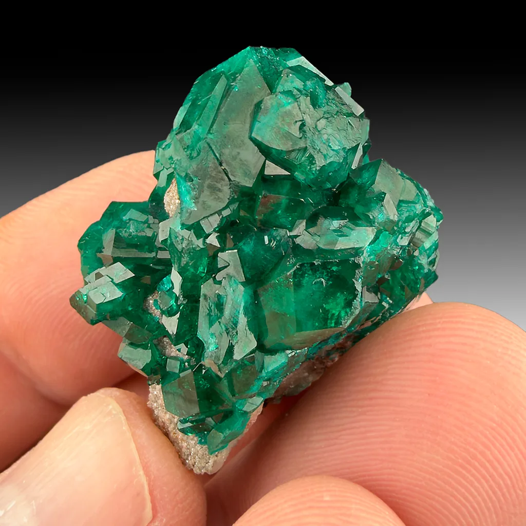 Dioptase from Renéville, Pool Department, Republic of the Congo