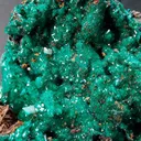 Dioptase from Republic of the Congo, Bouenza Department, Mfouati District, Mfouati - image 2