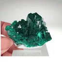 Dioptase from Republic of the Congo, Pool Department, Renéville - image 8