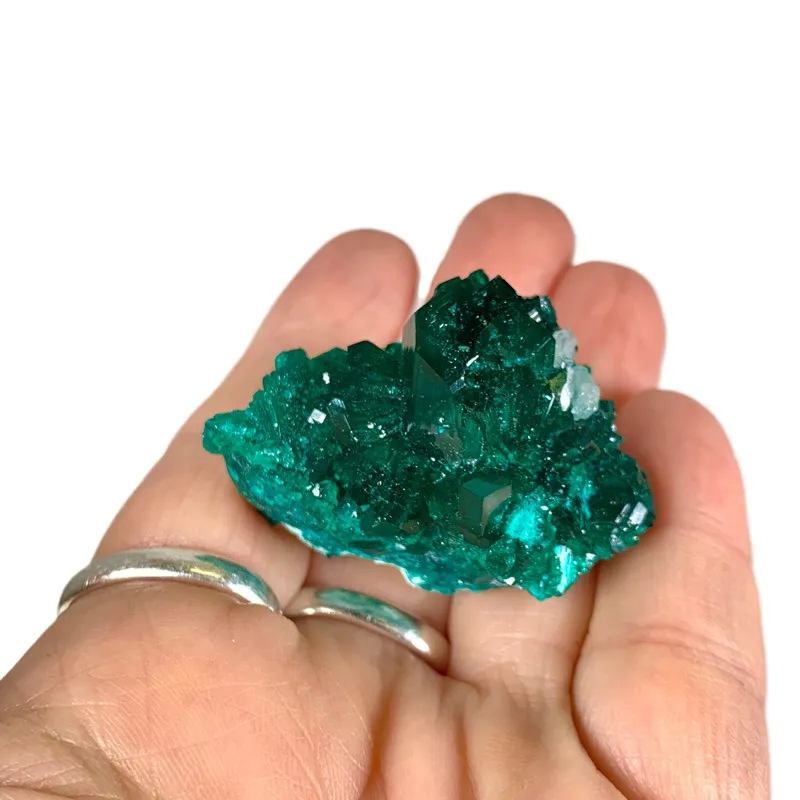 Dioptase from Republic of the Congo, Pool Department, Renéville - image 4