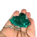 Dioptase from Republic of the Congo, Pool Department, Renéville - image 4