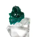 Dioptase from Republic of the Congo, Pool Department, Renéville - image 2