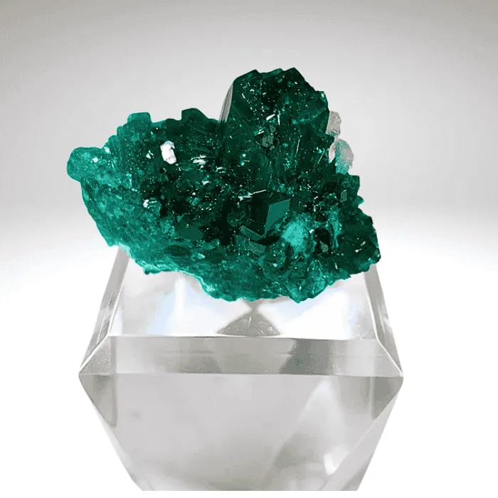 Dioptase from Republic of the Congo, Pool Department, Renéville - image 7