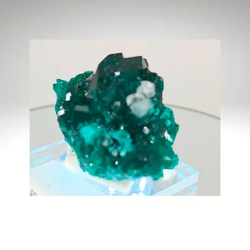 specimen video