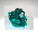 specimen video