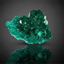 Dioptase from Republic of the Congo, Pool Department, Renéville - image 1