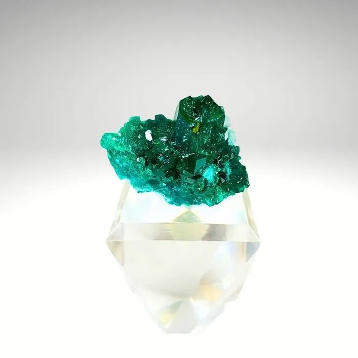 Dioptase from Republic of the Congo, Pool Department, Renéville - image 6