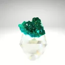 Dioptase from Republic of the Congo, Pool Department, Renéville - image 6