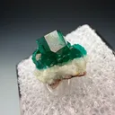 Dioptase from Tsumeb Mine, Tsumeb, Oshikoto Region, Namibia - image 5