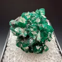 Dioptase from Tsumeb, Oshikoto Region, Namibia - image 1