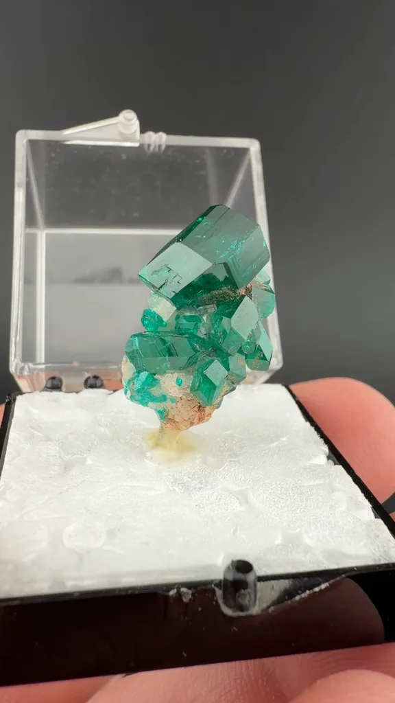 Dioptase from Tsumeb, Oshikoto Region, Namibia - image 2