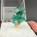 Dioptase from Tsumeb, Oshikoto Region, Namibia - image 2