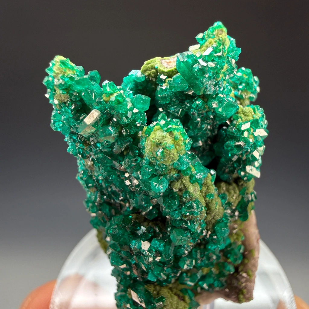Dioptase from Tsumeb, Oshikoto Region, Namibia - image 4