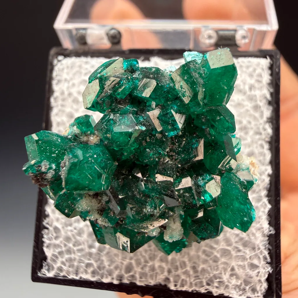 Dioptase from Tsumeb, Oshikoto Region, Namibia - image 4