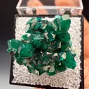 Dioptase from Tsumeb, Oshikoto Region, Namibia - image 4