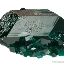 Dioptase (huge crystal!) - image 2
