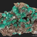 Dioptase in Calcite - image 6