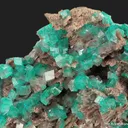 Dioptase in Calcite - image 10