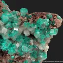 Dioptase in Calcite - image 7