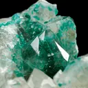 Dioptase inclusions in Quartz - image 5