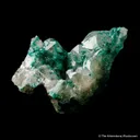 Dioptase inclusions in Quartz - image 4