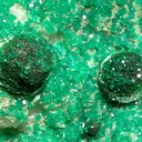Dioptase, Malachite, Calcite - image 2