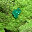 Dioptase, Mottramite - image 2
