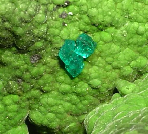 Dioptase, Mottramite - image 2