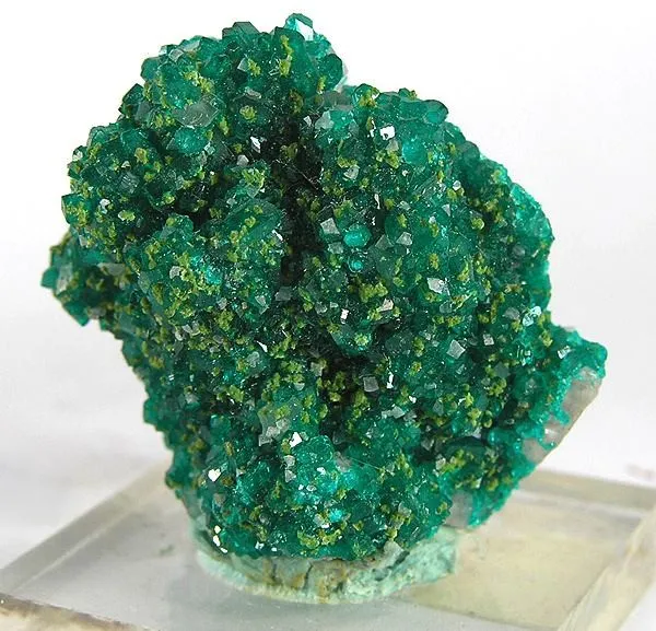 Dioptase, Mottramite image