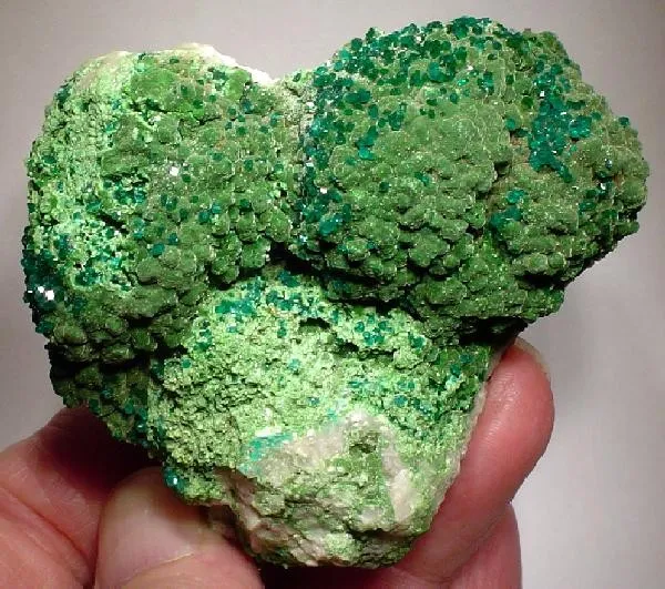 Dioptase, Mottramite image
