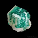 Dioptase on and included in Calcite - image 4