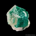 Dioptase on and included in Calcite - image 1