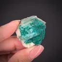 Dioptase on and included in Calcite - image 2