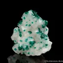 Dioptase on and included within Calcite - image 3