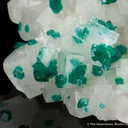 Dioptase on and included within Calcite - image 4