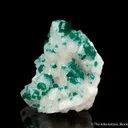 Dioptase on and included within Calcite - image 5